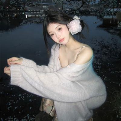 猫王艾维斯
